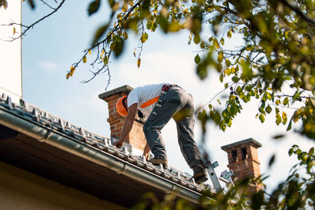 Best Roof Waterproofing  in Toftrees, PA